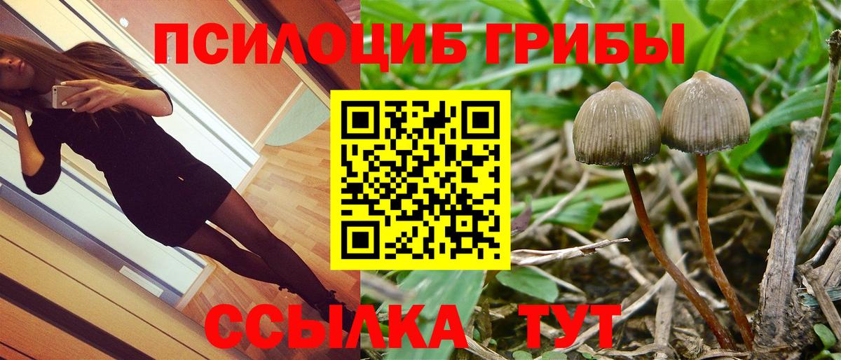 Галлюциногенные грибы мухоморы Алейск