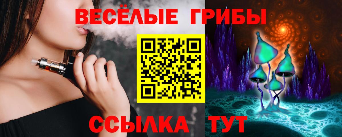Алейск  Галлюциногенные грибы Cubensis  Галлюциногенные грибы мухоморы  Вход с VPN 